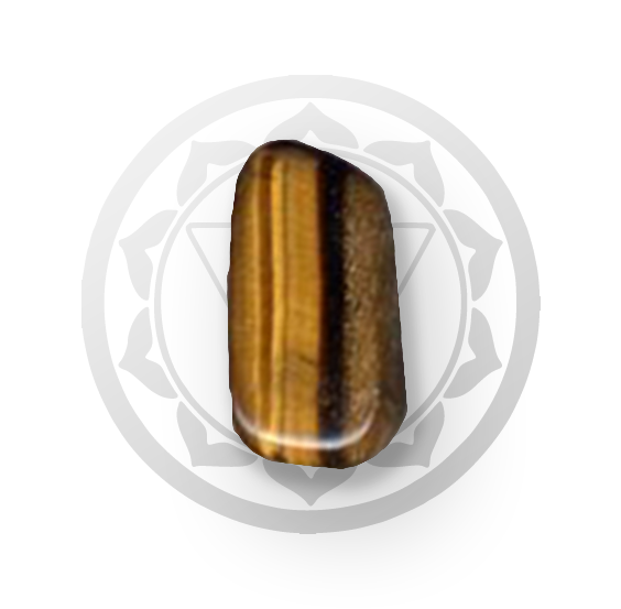 25 - &OElig;il de tigre