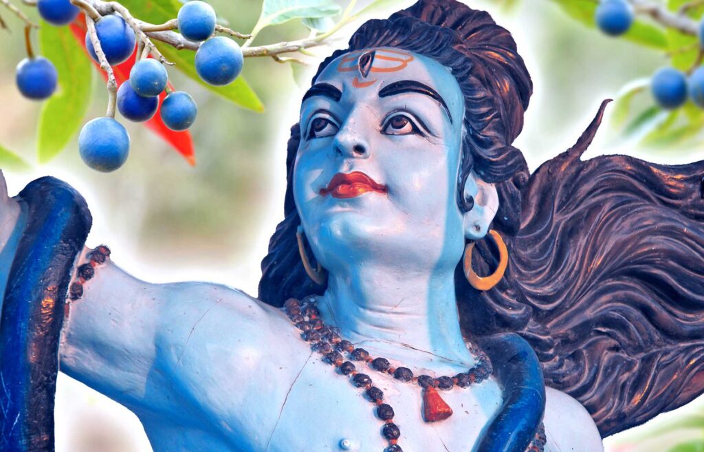 Shiva et le cerisier bleu, arbre des graines sacr&eacute;es de Rudraksha