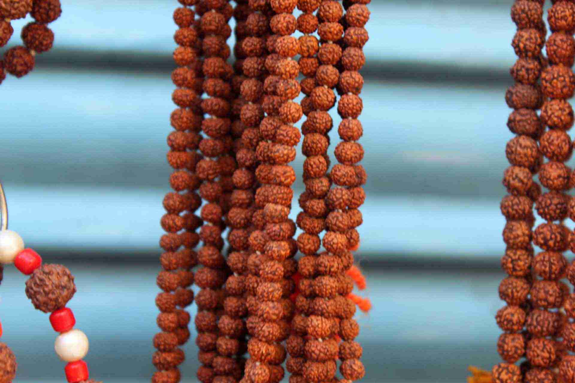 Rudraksha, graine sacr&eacute;e de l'Inde