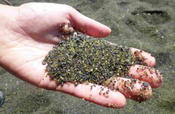 Sable vert de la plage du Tremblet avec cristaux de Peridot